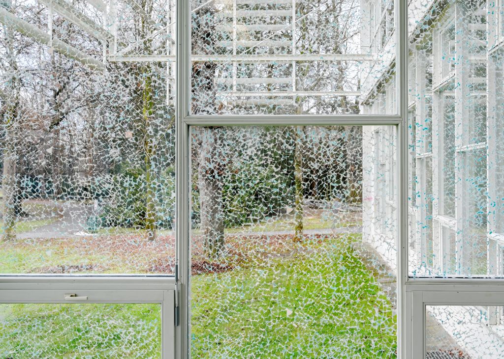 WERK 13_Nina Schuiki_Hypochondria Heart