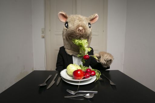 Der Hamsterk&auml;fig